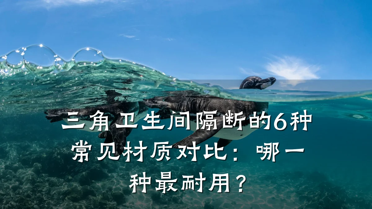 三角卫生间隔断的6种常见材质对比:哪一种最耐用?