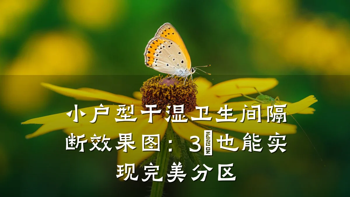小户型干湿卫生间隔断效果图:3㎡也能实现完美分区